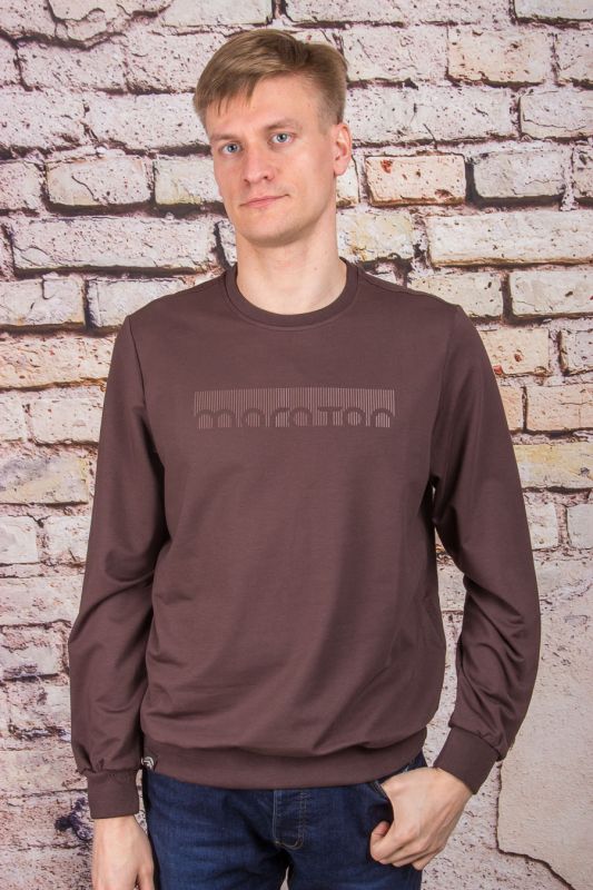 Sweatshirt 2321702 brown MARATON